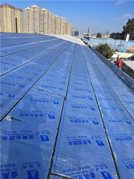 呈貢區(qū)老廠房屋頂SBS防水